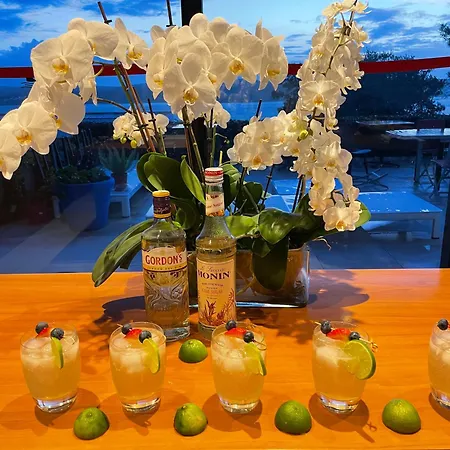 Paladina Pensionat 4*