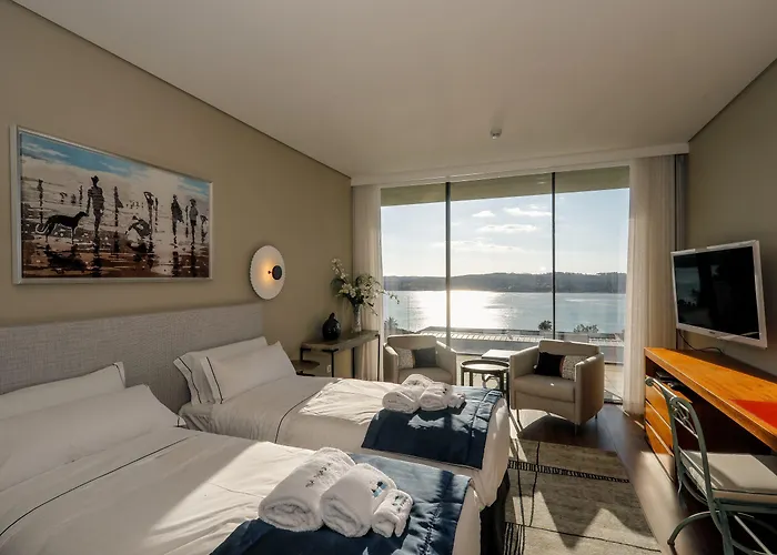 Paladina פוז דו ארליו