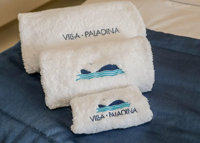 Paladina Pensión Foz do Arelho